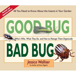 Book - God Bug Bad Bug