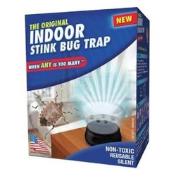 Indoor Stink Bug Trap