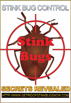 Book - Stink Bug Secrets Revealed