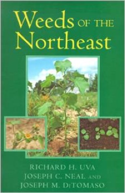 Book - Weeds of the Northeast