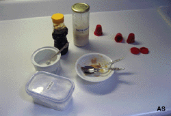 Homemade Ant Traps- What you Need