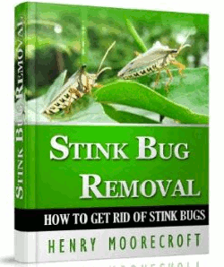 Book - Stink Bug Removal